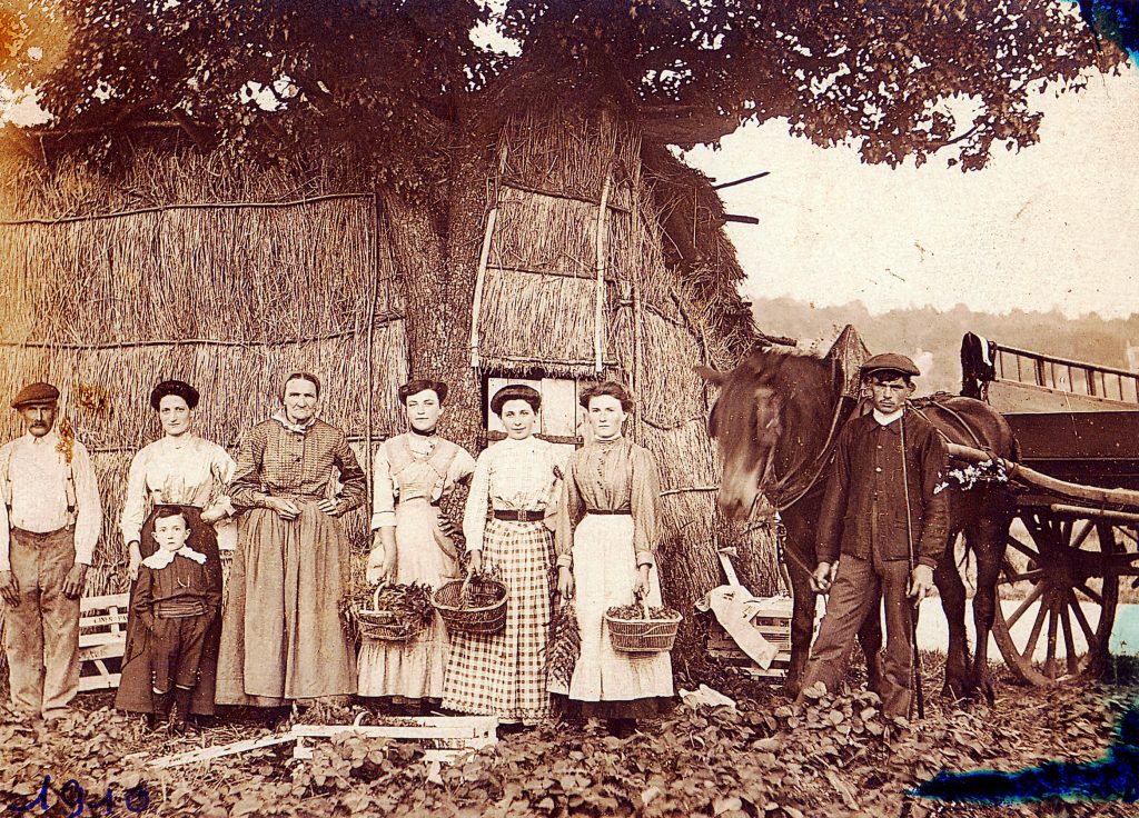 Famille Cabasset, 1910 - Cueilleurs de fraises et leur panier