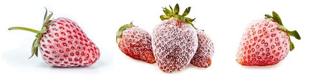 Astuces - Comment congeler la fraise